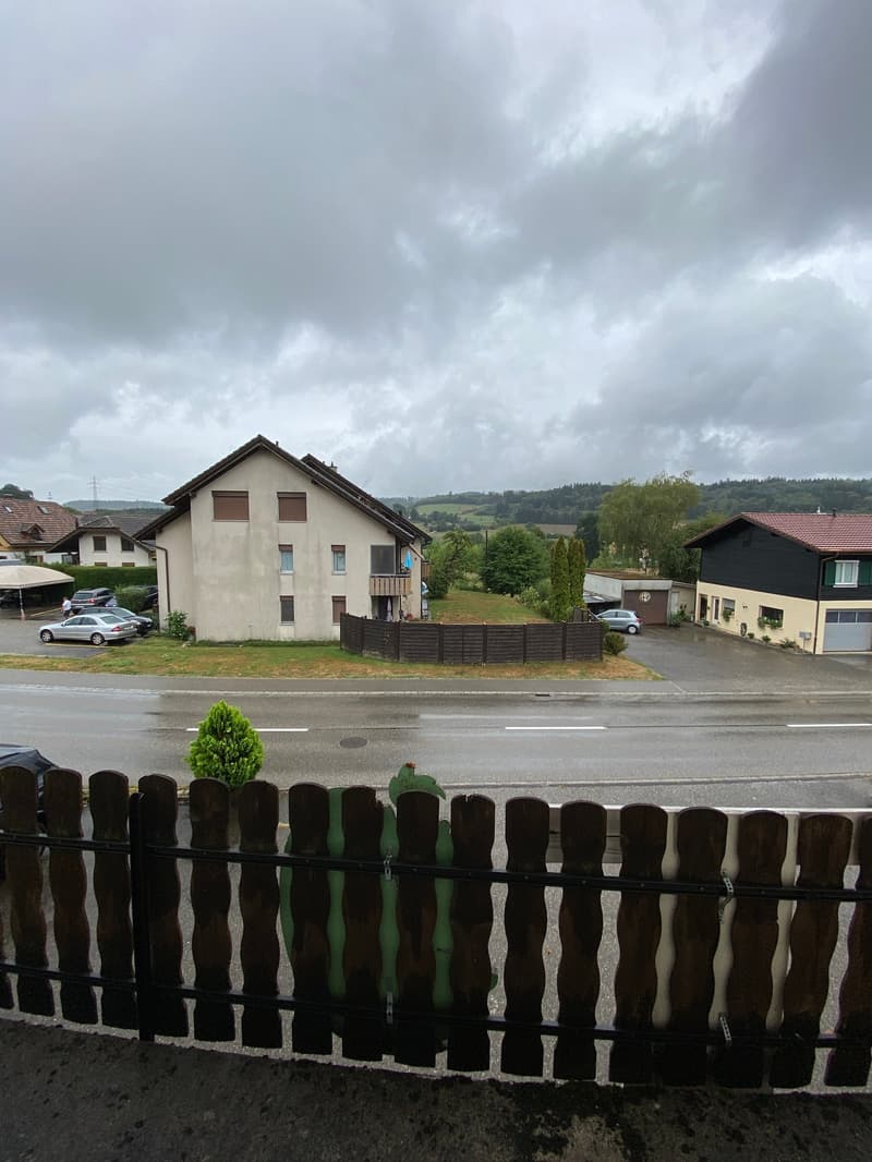Grosszügige 2.5-Zimmer-Wohnung (8)