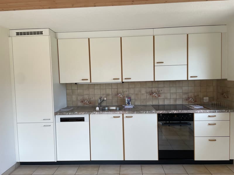 Grosszügige 2.5-Zimmer-Wohnung (2)