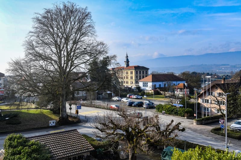 Urban view, various buildings, street, cars parked, church tower, tree, signboards, mountain range in the distance, clear sky
