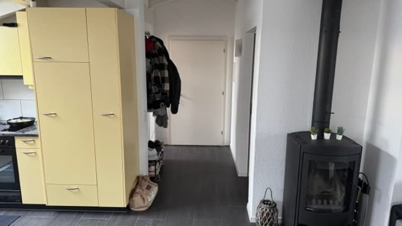 Charming attic apartment in Lyss – Quiet, Sunny & Pet-Friendly (4)