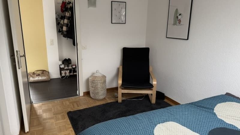 Charming attic apartment in Lyss – Quiet, Sunny & Pet-Friendly (11)
