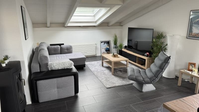 Charming attic apartment in Lyss – Quiet, Sunny & Pet-Friendly (5)