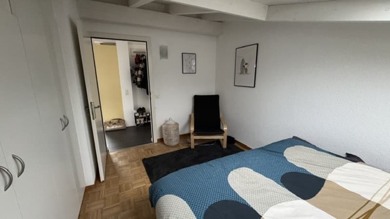 Charming attic apartment in Lyss – Quiet, Sunny & Pet-Friendly (2)
