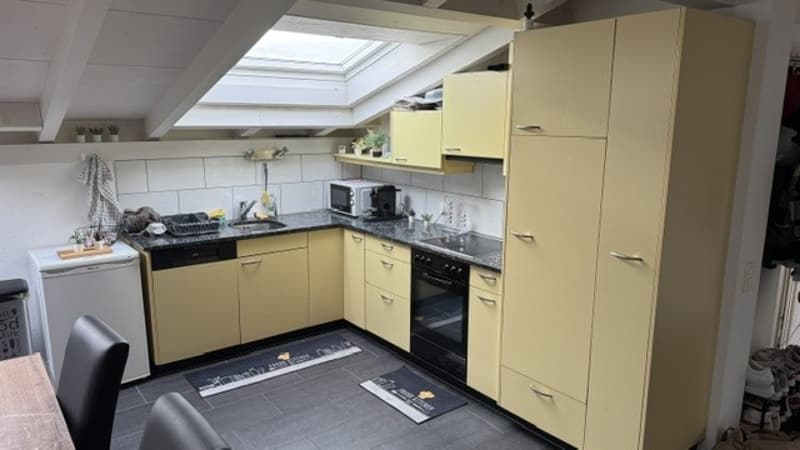 Charming attic apartment in Lyss – Quiet, Sunny & Pet-Friendly (7)