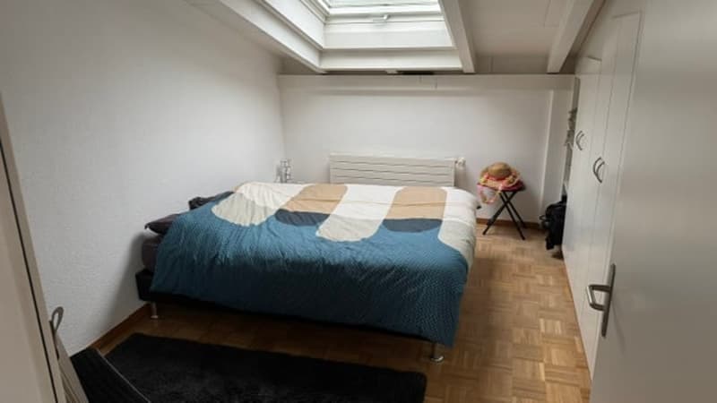 Charming attic apartment in Lyss – Quiet, Sunny & Pet-Friendly (10)