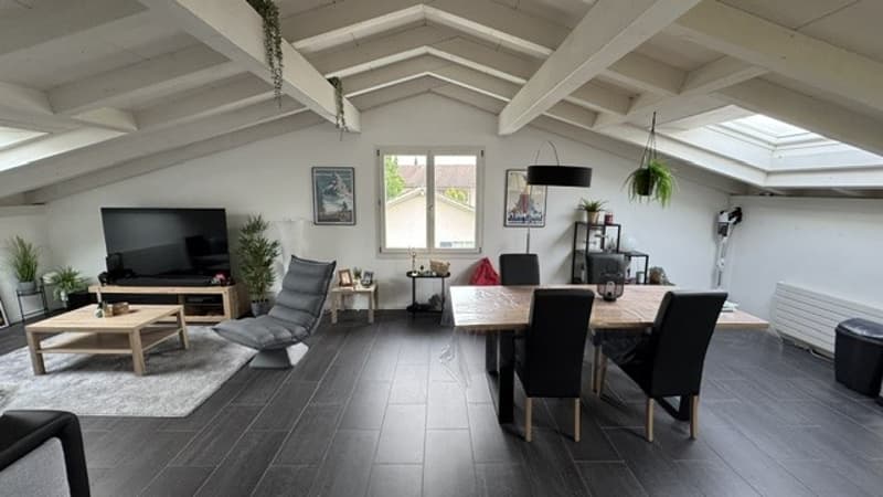 Charming attic apartment in Lyss – Quiet, Sunny & Pet-Friendly (8)