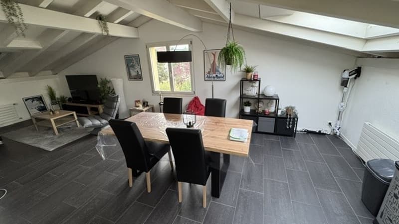 Charming attic apartment in Lyss – Quiet, Sunny & Pet-Friendly (9)