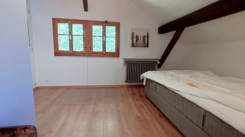 Appartement en duplex dans une fermette en bordure de forêt (5)