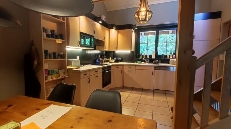 Appartement en duplex dans une fermette en bordure de forêt (3)