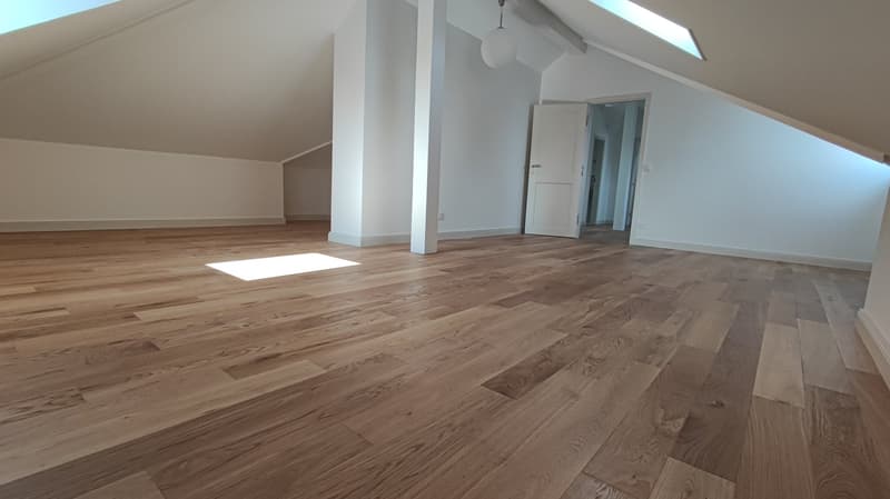 Maestosa villa di 9 locali con accesso privato al lago (10)