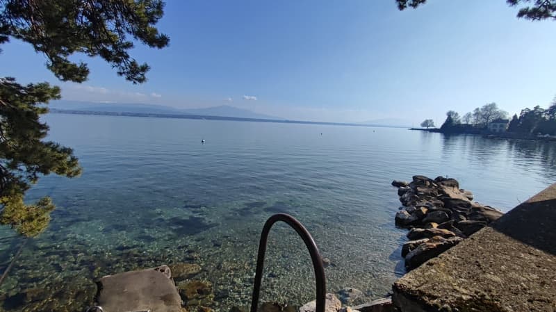 Maestosa villa di 9 locali con accesso privato al lago (12)