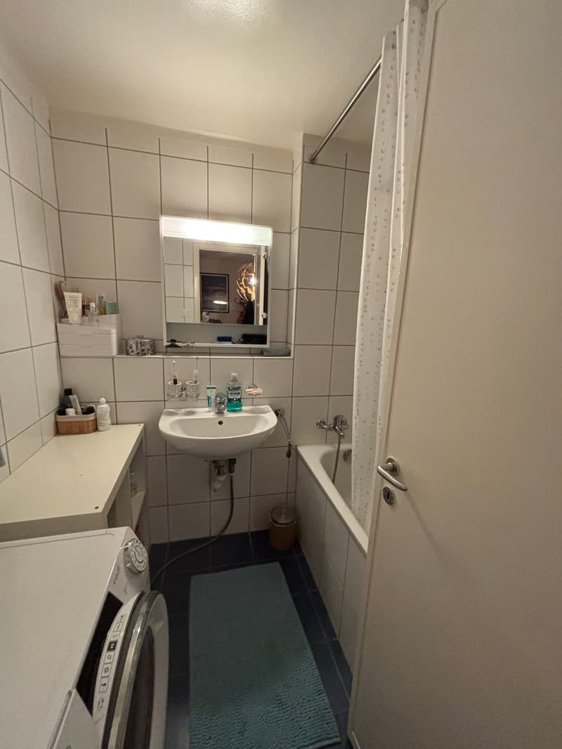 Magnifique appartement avec vue au coeur de Lausanne (7)