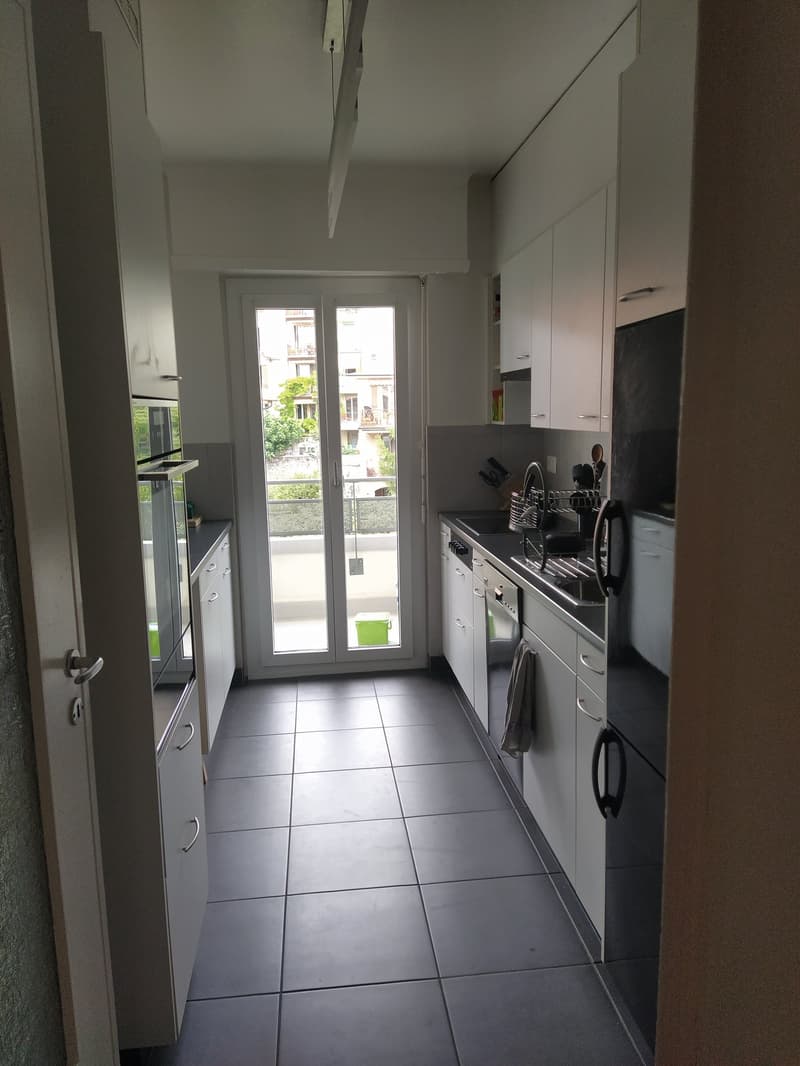 Magnifique appartement avec vue au coeur de Lausanne (6)