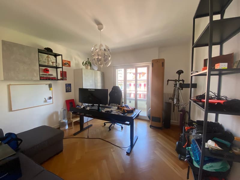 Magnifique appartement avec vue au coeur de Lausanne (3)