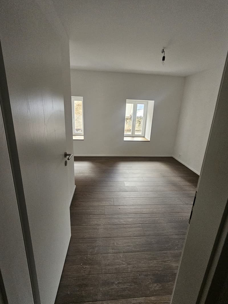 Appartement neuf de 2.5 pièces avec terrasse-jardinet et vue sur les Dents-du-Midi (8)