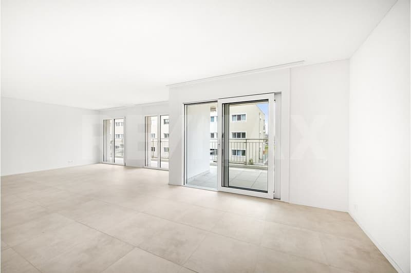 Charmant 4,5 pièces  premier propriétaire, terrasse et luminosité optimale (13)