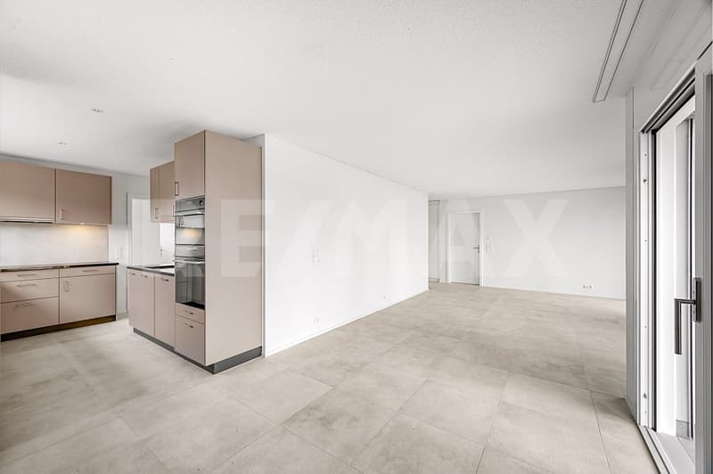 Unique et lumineux 5,5 pièces premier propriétaire, terrasse spacieuse et confort moderne (12)