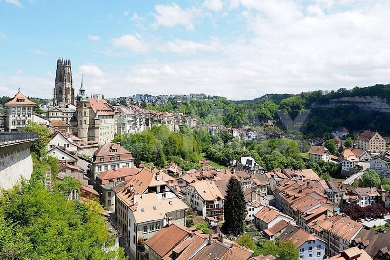 Opportunité rare à Fribourg : Café, Lounge & Restaurant clé en main (3)