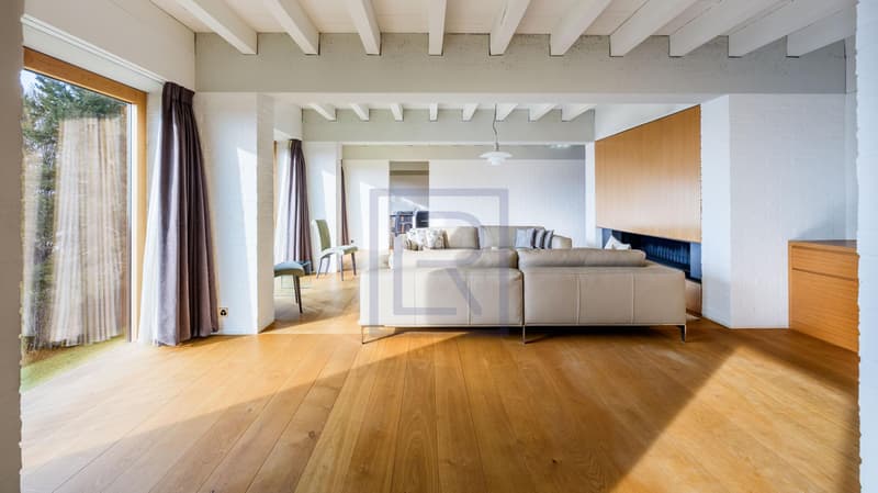 Contemporary villa with lake view (2)