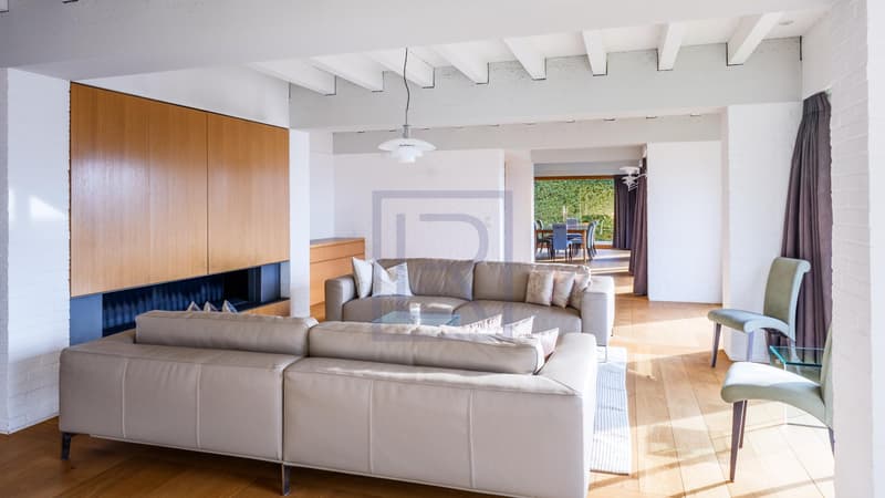 Contemporary villa with lake view (3)