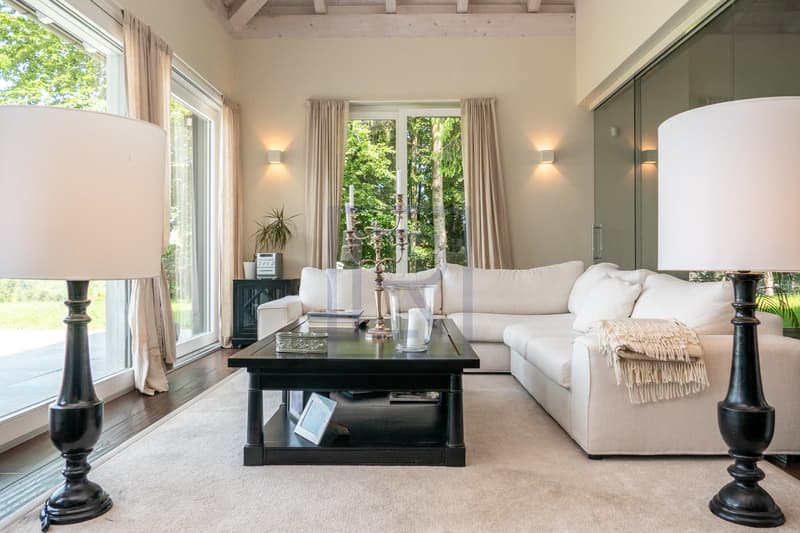 Elegant contemporary villa (1)
