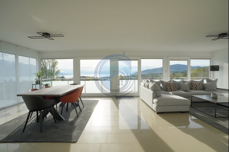 MAGNIFIQUE APPARTEMENT DE STANDING AVEC VUE LAC ET MONTAGNES (6)