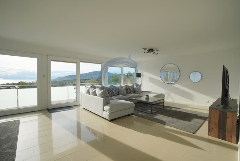 MAGNIFIQUE APPARTEMENT DE STANDING AVEC VUE LAC ET MONTAGNES (7)