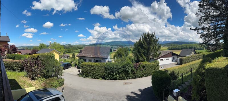 Incantevole villa tipo chalet di 3,5 locali con vista sulle Alpi (2)
