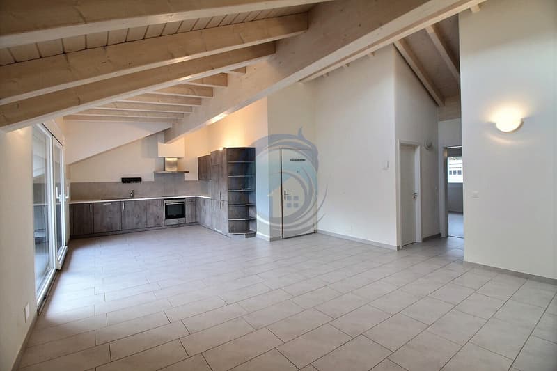 CHARMING 4.5 ROOM APARTMENT ON THE TOP FLOOR - AVAILABLE IMMEDIATELY (2)