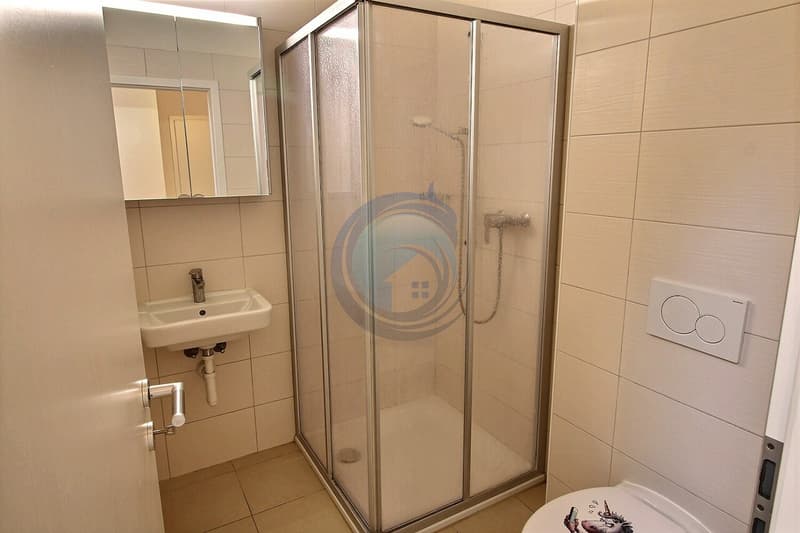 CHARMING 4.5 ROOM APARTMENT ON THE TOP FLOOR - AVAILABLE IMMEDIATELY (10)
