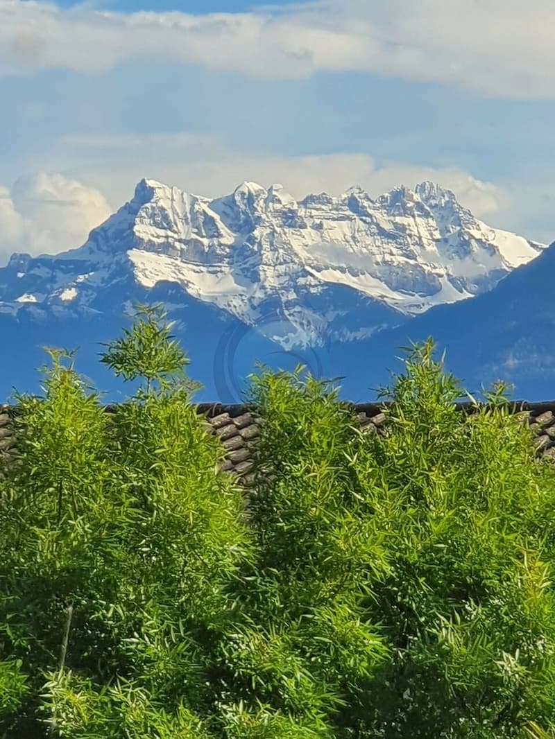 Beautiful 3-room corner apartment with balcony - Close to the shores of Lake Geneva (5)