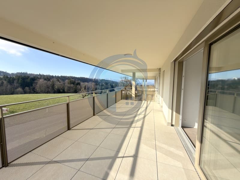 Bello appartamento nuovo di 3.5 locali con balcone (2)