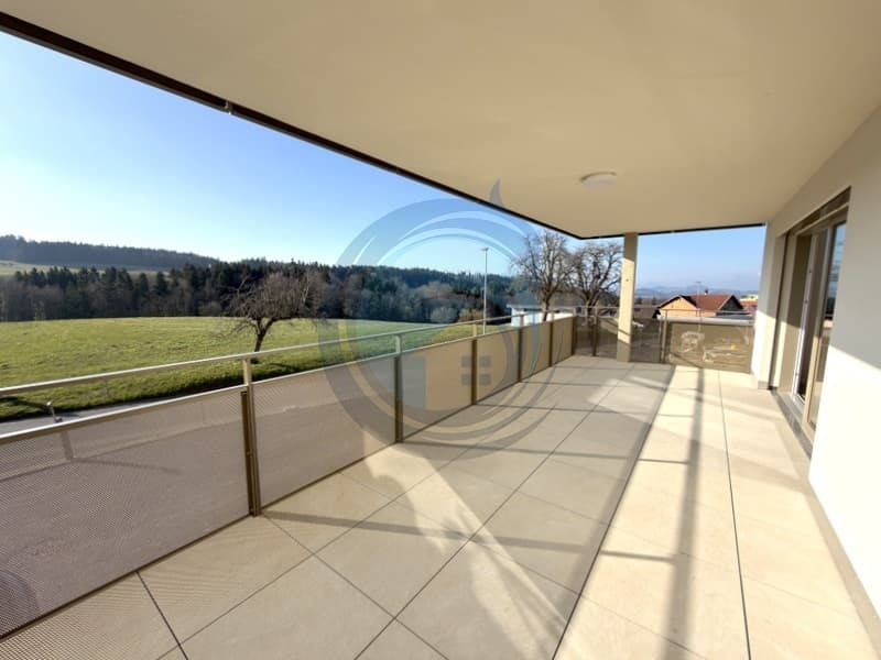 Bello appartamento nuovo di 3.5 locali con balcone (2)