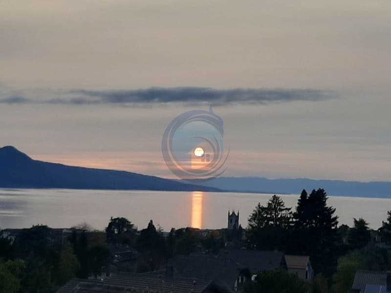 STUNNING 4-UNIT MULTIFAMILY PROPERTY WITH BREATHTAKING LAKE VIEWS (3)
