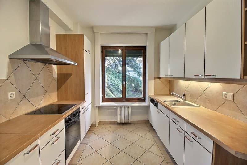 SPACIEUX APPARTEMENT DE 4,5 PIÈCES AVEC BUREAU ET VUE SUR LE LAC (10)