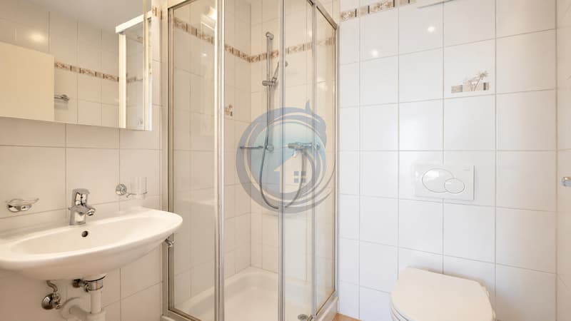Schönes durchgehendes 3,5-Zimmer-Apartment mit schönem Balkon (9)