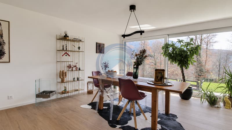 Spacieux Appartement de 4.5 Pièces en Rez-de-Jardin (6)