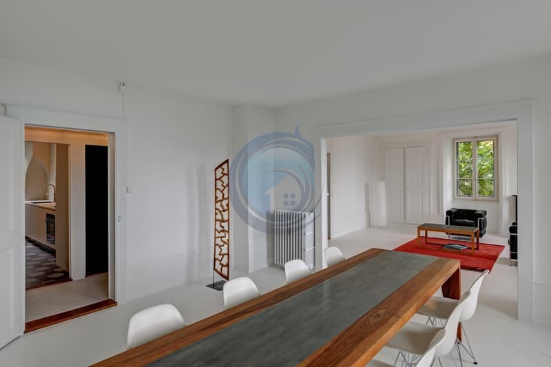 MAGNIFIQUE APPARTEMENT DE 7,5 PIÈCES AVEC VUE SUR LE LAC (3)