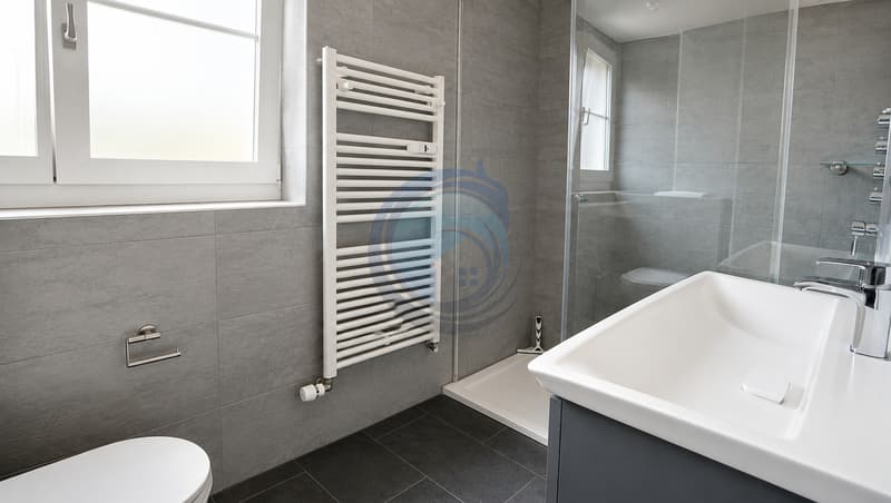 CHARMANT APPARTEMENT EN ATTIQUE DE 4.5 PIÈCES AU CENTRE-VILLE D'AIGLE (12)