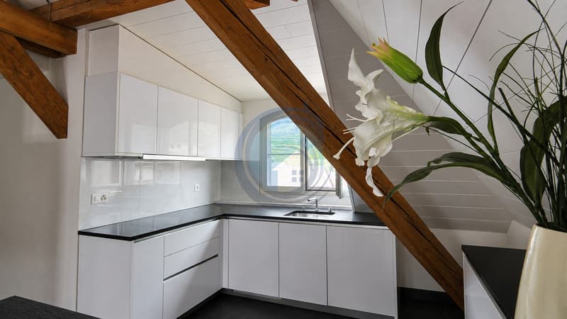 CHARMANT APPARTEMENT EN ATTIQUE DE 4.5 PIÈCES AU CENTRE-VILLE D'AIGLE (5)