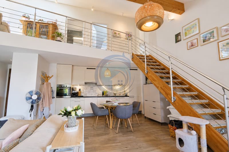 SUPERBE DUPLEX TRAVERSANT DE 4,5 PIÈCES LUMINEUX ET PLEIN DE CHARME (1)