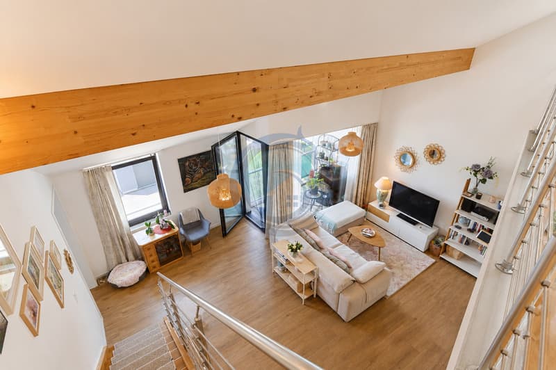 SUPERBE DUPLEX TRAVERSANT DE 4,5 PIÈCES LUMINEUX ET PLEIN DE CHARME (12)