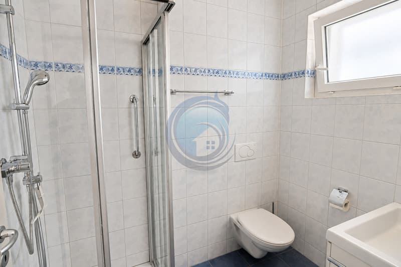 MAGNIFIQUE APPARTEMENT DE 3,5 PIÈCES AU COEUR DE BLONAY (8)