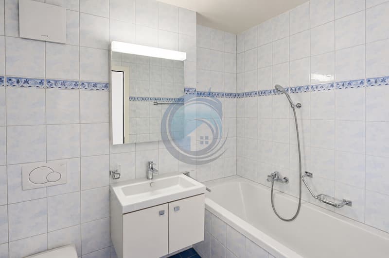 MAGNIFIQUE APPARTEMENT DE 3,5 PIÈCES AU COEUR DE BLONAY (10)