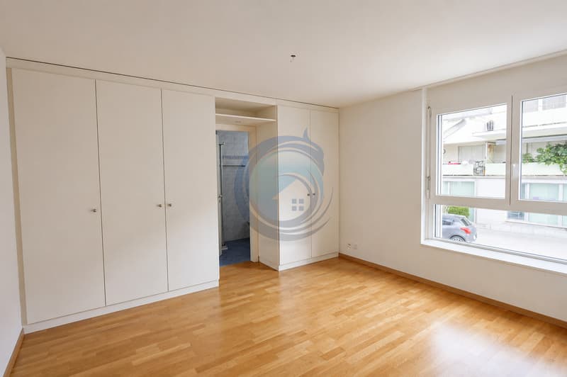 MAGNIFIQUE APPARTEMENT DE 3,5 PIÈCES AU COEUR DE BLONAY (7)