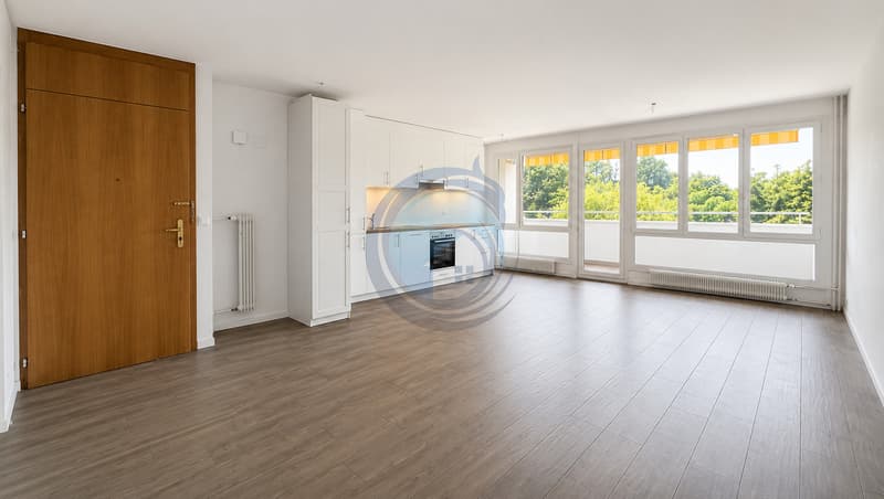 MAGNIFIQUE APPARTEMENT TRAVERSANT DE 4,5 PIÈCES ENTIÈREMENT RÉNOVÉ (1)