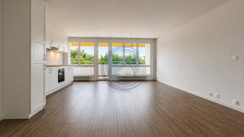 MAGNIFIQUE APPARTEMENT TRAVERSANT DE 4,5 PIÈCES ENTIÈREMENT RÉNOVÉ (2)
