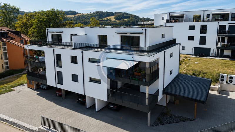 ROOFTOP NEUF DE 4.5 PIÈCES AVEC SPACIEUSE TERRASSE (2)