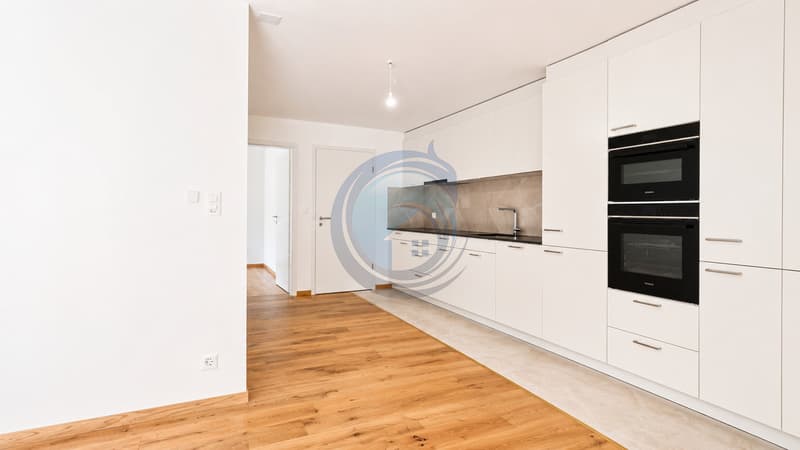 BEL APPARTEMENT NEUF AU REZ-DE-CHAUSSÉE (7)