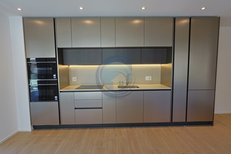 LOT N6 : MAGNIFIQUE APPARTEMENT NEUF DE 2,5 PIÈCES AVEC GRAND BALCON (3)